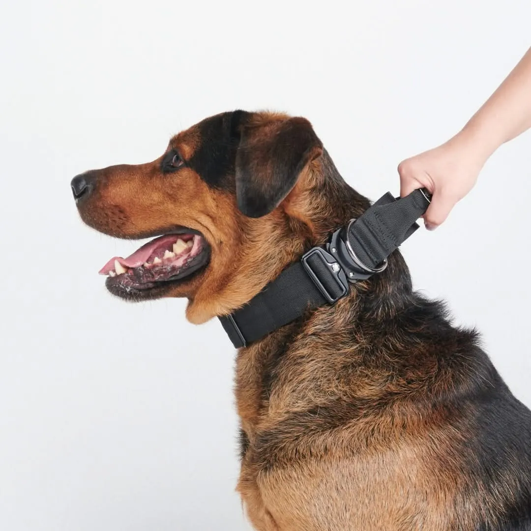 Comfort Control Collar - Black