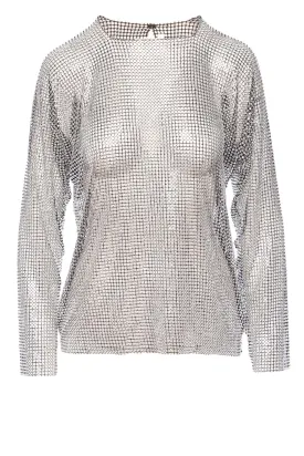 Crystal Mesh Long Sleeve Top