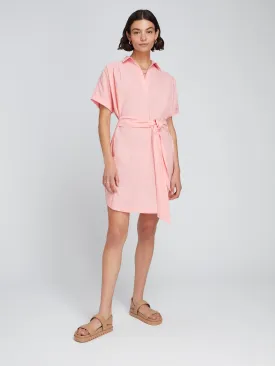 Diantha Shirt Dress in Pink